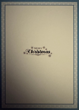 A Cute Christmas Owl by Erika Sissons