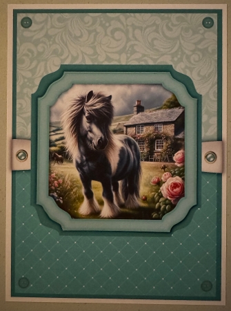 Shetland Ponies by Erika Sissons