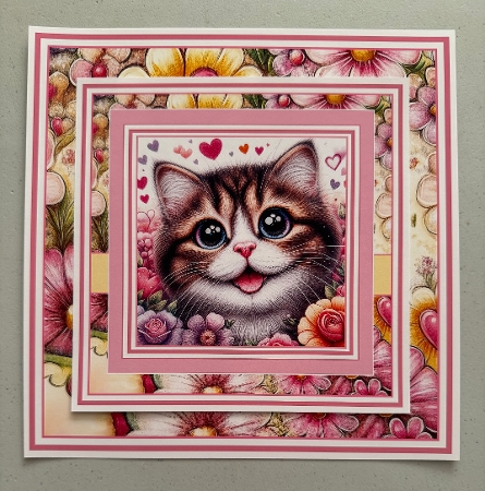Happy birthday cute cats by Erika Sissons