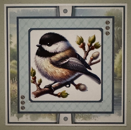 The Perfect Perch by Erika Sissons