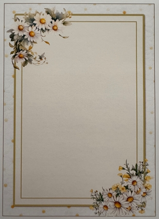 Fan-tastic White Daisies 11 5x7 by Erika Sissons