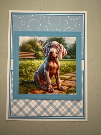 7x7, 5x7, 6x6 - PUPS IN THE GARDEN set 1  by Erika Sissons