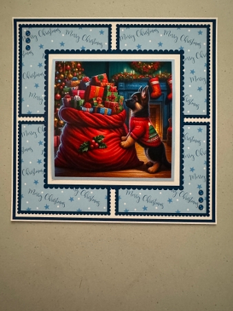 Whats Santa Brought Me? by Erika Sissons