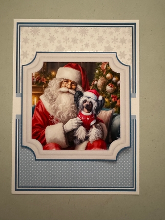 CHINESE CRESTED DOG CHRISTMAS SET - request by Erika Sissons