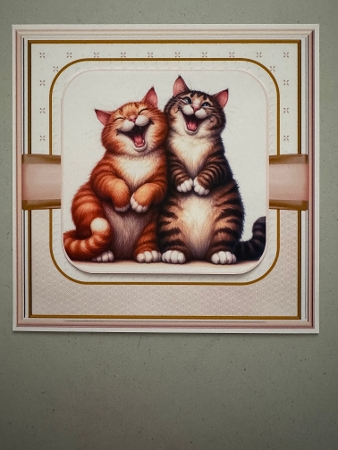 Cats in a Box by Erika Sissons