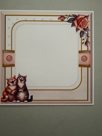 Cats in a Box by Erika Sissons