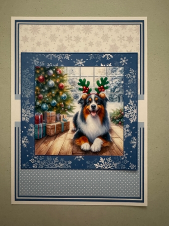 AUSTRALIAN SHEPHERD 7x7, 6x6, 5x7 by Erika Sissons
