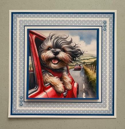 Enjoying the Ride by Erika Sissons