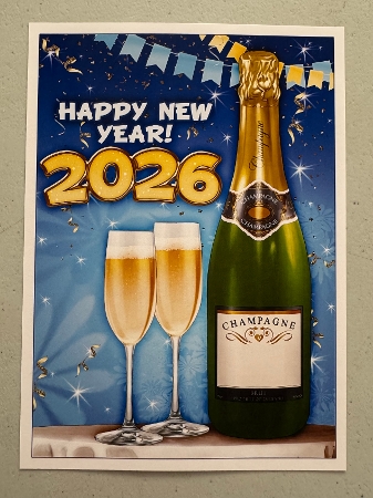 New Year 2026 Insert by Erika Sissons