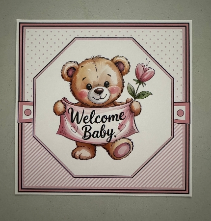 New Baby Girl 1 by Erika Sissons