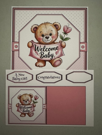 New Baby Girl 1 by Erika Sissons