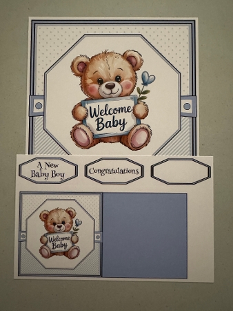 New Baby Boy 1 by Erika Sissons