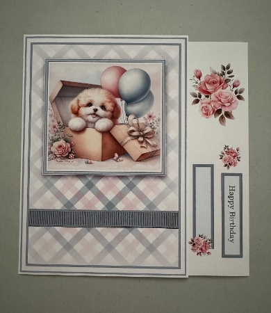 A5 Insert Matches Gift Boxed Puppy 1 Card Front by Erika Sissons