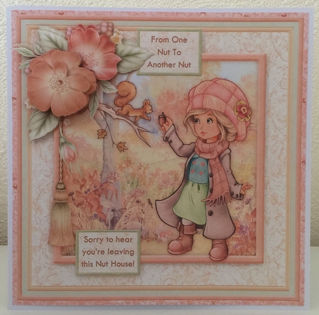 Nutty Friend Birthday, Valentine's, 8x8 Mini Kit & Decoupage by Erika Sissons