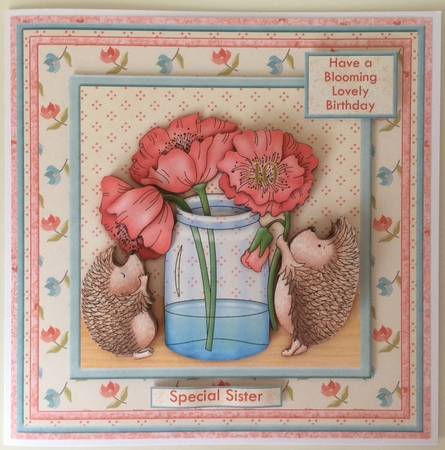 Blooming Lovely Hedgehogs Poppies Birthday Get Well Mini Kit by Erika Sissons