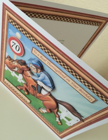To a Real Thoroughbred Horse Racing Birthday or Fathers Day by Erika Sissons