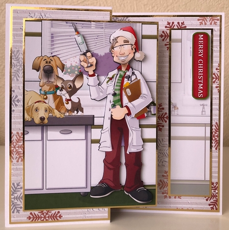 Christmas Vet Dude  by Erika Sissons