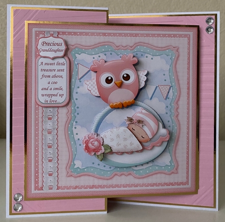 WHOO HOO NEW BABY 7.5 Decoupage & Inserts Bumper Kit by Erika Sissons