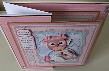 WHOO HOO NEW BABY 7.5 Decoupage & Inserts Bumper Kit by Erika Sissons