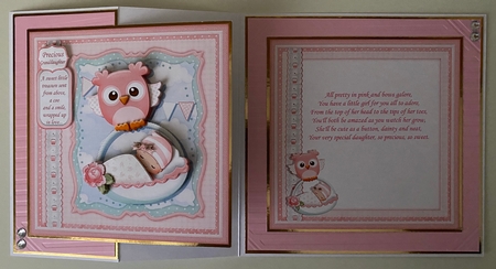 WHOO HOO NEW BABY 7.5 Decoupage & Inserts Bumper Kit by Erika Sissons