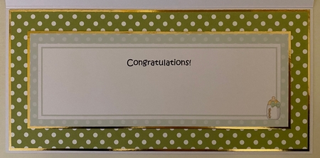 Large DL TO THE PROUD NEW GRANDPARENTS insert by Erika Sissons