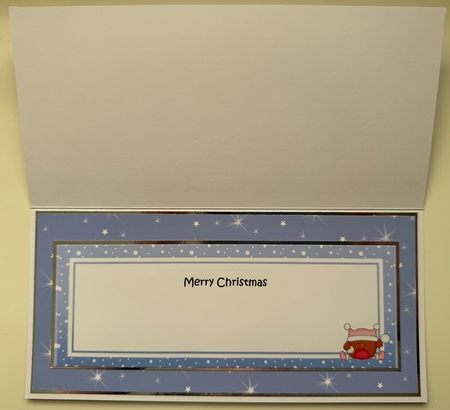 Large DL Merry Christmas FLORENCE insert by Erika Sissons