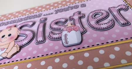Large DL CONGRATULATIONS ... YOURE A BIG SISTER 3D decoupage by Erika Sissons
