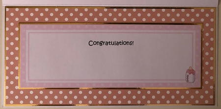 Large DL CONGRATULATIONS ... YOURE A BIG SISTER insert by Erika Sissons