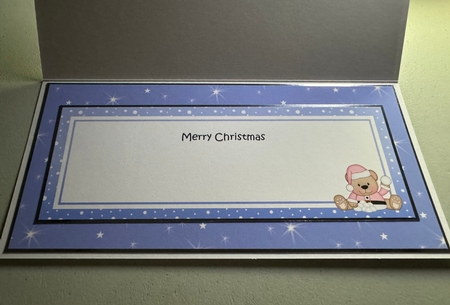 Large DL Merry Christmas ELSIE insert by Erika Sissons