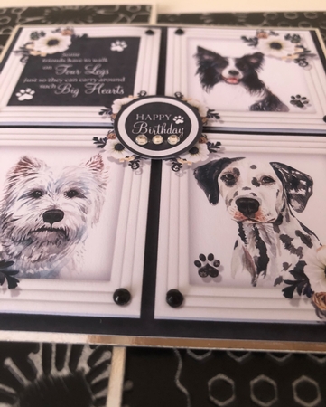 Big Hearts - Dogs by Erika Sissons