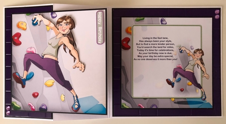 Indoor Climber Dudess 8x8 Insert by Erika Sissons