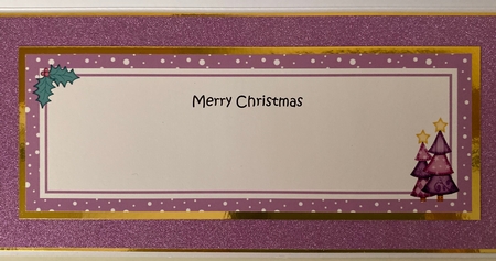 Large DL Merry Christmas DAUGHTER & DAUGHTER IN LAW with Santa insert by Erika Sissons