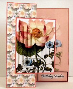 Pink Poppy by Ester Collins