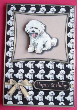Bichon Frise by Eunice Roberts