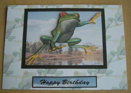 Hoppy the Frog Vellum by Eunice Roberts