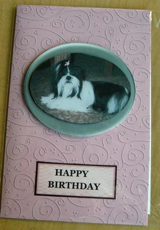 'swirls Embossed' Backing Paper - Pretty Daisy Colours by Eunice Roberts