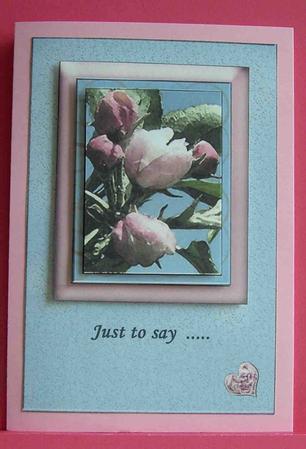 Blossom Buds by Eunice Roberts