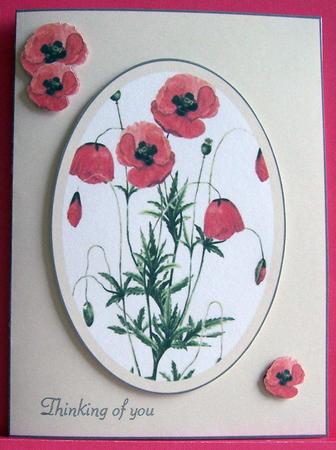 Thinking of You Poppy Quick Card by Eunice Roberts