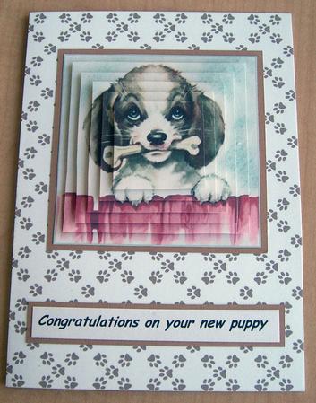 Puppy at the Fence - Pyramid by Eunice Roberts