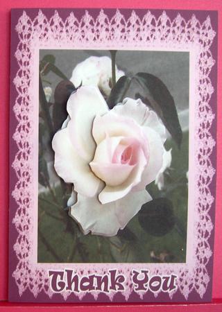 Rose 33 by Eunice Roberts