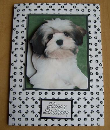 Lhasa Apso Puppy 3D Decoupage by Eunice Roberts