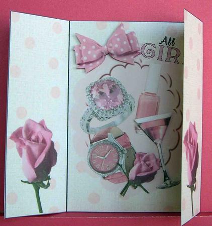 All Girl! Pink & Bling, Gatefold by Eunice Roberts