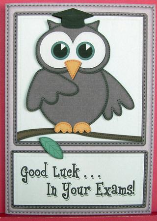 A4 Wise Owl Exam Good Luck Felties Card Topper by Eunice Roberts