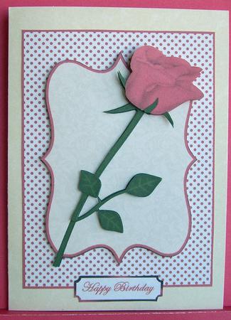 A Simple Rose in Pink by Eunice Roberts