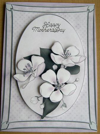 A4 Apple Blossom by Eunice Roberts