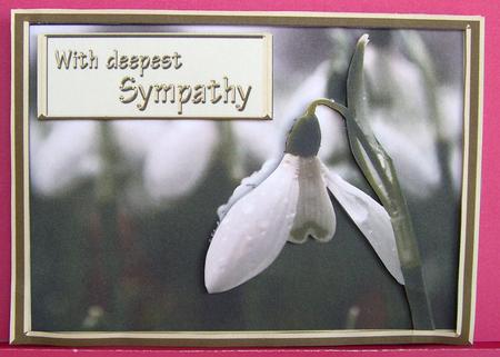 Snowdrops Sympathy Card. by Eunice Roberts