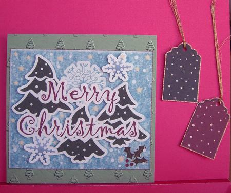 Snowy Christmas Topper/ Card Front by Eunice Roberts