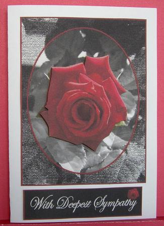 Sympathy Rose by Eunice Roberts