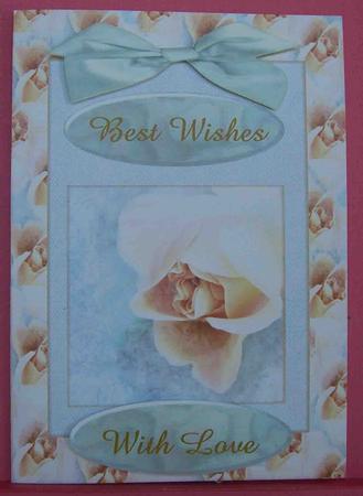Soft Pastel Roses by Eunice Roberts