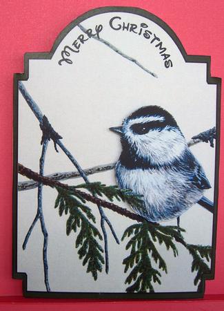 Winter Bird 2 by Eunice Roberts